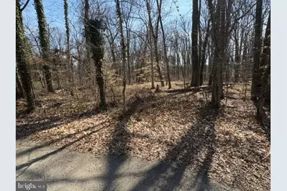 8127 Stacey Road, Alexandria, VA 22308 - Photo 12