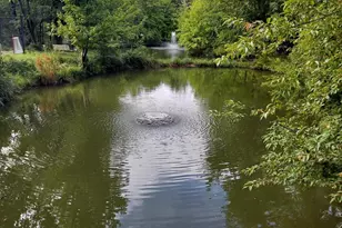 8360 Greensboro Dr, McLean, VA 22102 - Photo 64