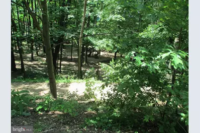 8360 Greensboro Drive #208, McLean, VA 22102 - Photo 50