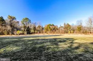 1002 Springvale Rd, Great Falls, VA 22066 - Photo 52