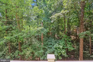 1307 Windleaf Dr, Reston, VA 20194 - Photo 22