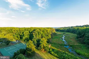 6631 Wakefield Dr, Alexandria, VA 22307 - Photo 24