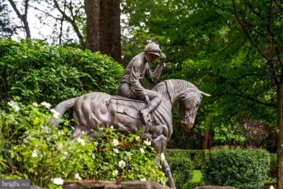 9112/9120 Mine Run Drive, Great Falls, VA 22066 - Photo 82