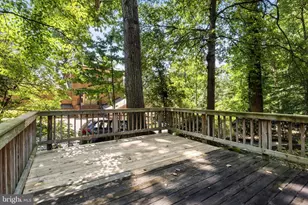 3436 Holly Rd, Annandale, VA 22003 - Photo 84