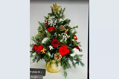 [Address not provided], Falls Church, VA 22042 - Photo 4