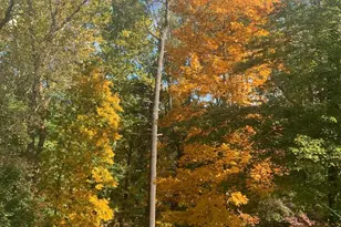 510 Walker St SW, Vienna, VA 22180 - Photo 66