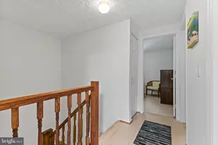 6822 Ericka Ave, Alexandria, VA 22310 - Photo 20