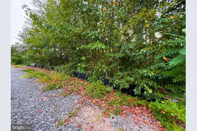 8811 Ox Road, Lorton, VA 22079 - Photo 6