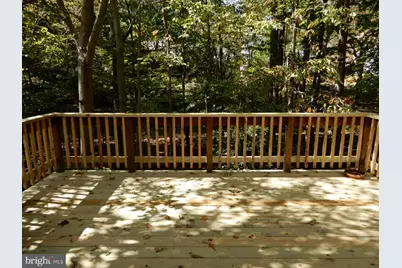 7014 Maple Tree Lane, Springfield, VA 22152 - Photo 48