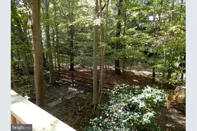 7014 Maple Tree Lane, Springfield, VA 22152 - Photo 50