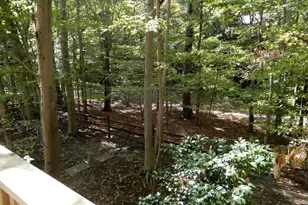 7014 Maple Tree Ln, Springfield, VA 22152 - Photo 50