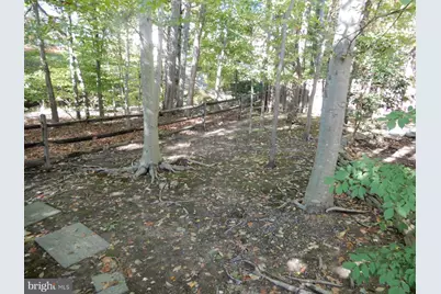 7014 Maple Tree Lane, Springfield, VA 22152 - Photo 54