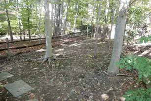 7014 Maple Tree Ln, Springfield, VA 22152 - Photo 54