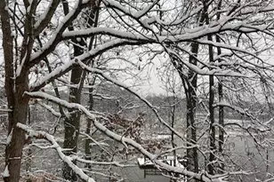 8352 Orange Ct, Alexandria, VA 22309 - Photo 32