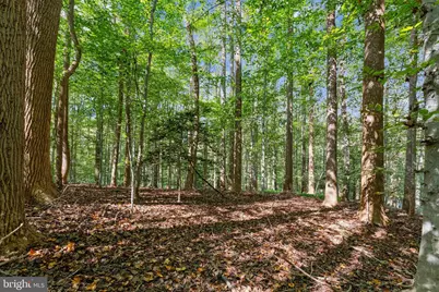 258 Jeffery Lane, Great Falls, VA 22066 - Photo 2