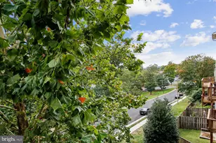 3335 Beechcliff Dr, Alexandria, VA 22306 - Photo 36
