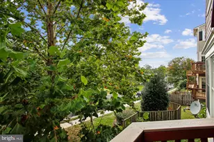 3335 Beechcliff Dr, Alexandria, VA 22306 - Photo 74