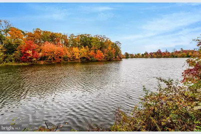 6547 Grange Lane #104, Alexandria, VA 22315 - Photo 50