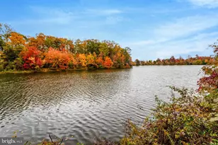 6547 Grange Ln, Alexandria, VA 22315 - Photo 50