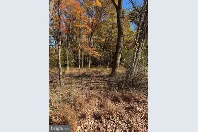 Blue Ridge Lane #24A3, Great Falls, VA 22066 - Photo 6