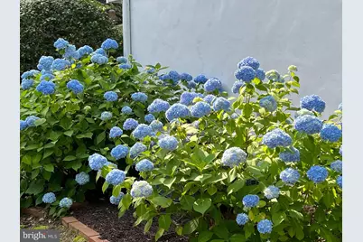 6009 Jennings Lane, Springfield, VA 22150 - Photo 6