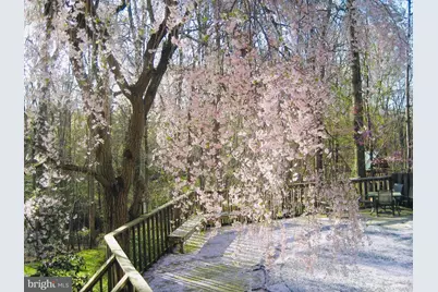 2201 Nobehar, Vienna, VA 22181 - Photo 6