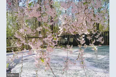 2201 Nobehar Drive, Vienna, VA 22181 - Photo 34