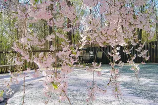 2201 Nobehar Dr, Vienna, VA 22181 - Photo 34