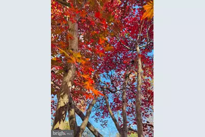 2201 Nobehar, Vienna, VA 22181 - Photo 16