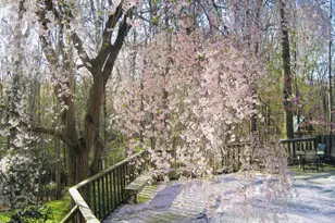 2201 Nobehar Dr, Vienna, VA 22181 - Photo 32