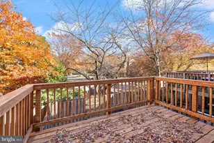 8205 Cedar Landing Ct, Alexandria, VA 22306 - Photo 8