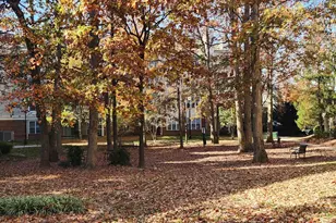 2204 Westcourt Ln, Herndon, VA 20170 - Photo 30