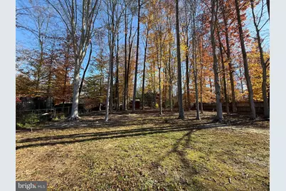 4721 Springbrook Drive, Annandale, VA 22003 - Photo 68