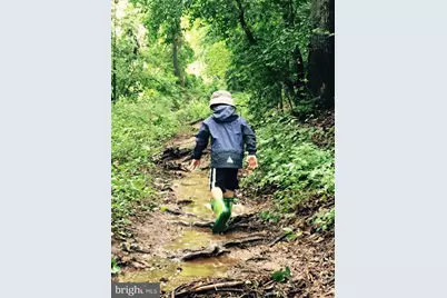 2007 Spring Branch Drive, Vienna, VA 22181 - Photo 84