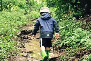 2007 Spring Branch Dr, Vienna, VA 22181 - Photo 84