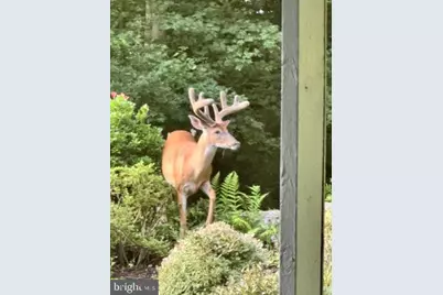 2007 Spring Branch Drive, Vienna, VA 22181 - Photo 90