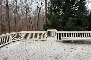 10701 Sycamore Springs Ln, Great Falls, VA 22066 - Photo 36