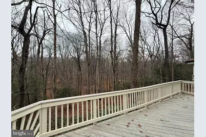 10701 Sycamore Springs Lane, Great Falls, VA 22066 - Photo 38