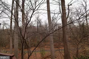 11312 Myrtle Ln, Reston, VA 20191 - Photo 6