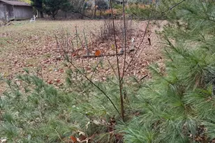 2540 Flint Hill Rd, Vienna, VA 22181 - Photo 1