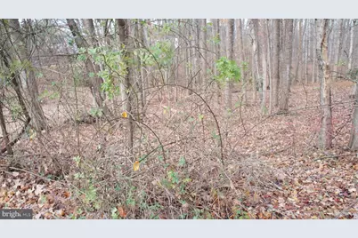 3140 Searsmont Place, Herndon, VA 20171 - Photo 4