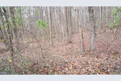 3140 Searsmont Place, Herndon, VA 20171 - Photo 6