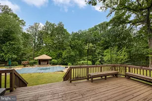 6528 Windham Ave, Alexandria, VA 22315 - Photo 46