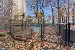 5901 Mt Eagle Dr, Alexandria, VA 22303 - Photo 42