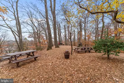 5901 Mount Eagle Drive #1116, Alexandria, VA 22303 - Photo 40