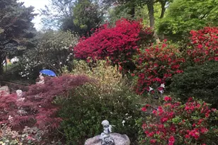 6144 Chesterbrook Rd, McLean, VA 22101 - Photo 2