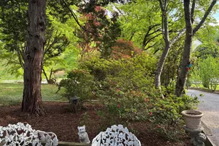 6144 Chesterbrook Rd, McLean, VA 22101 - Photo 8