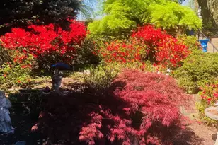 6144 Chesterbrook Rd, McLean, VA 22101 - Photo 4