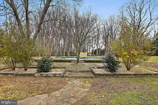 355 Springvale Rd, Great Falls, VA 22066 - Photo 40