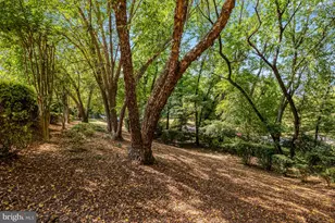 801 Olde Georgetown Ct, Great Falls, VA 22066 - Photo 60